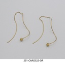 231-CARO522-OR