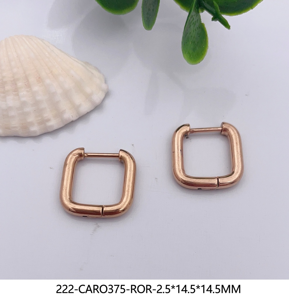 222-CARO375-ROR-2.5*14.5*14.5MM