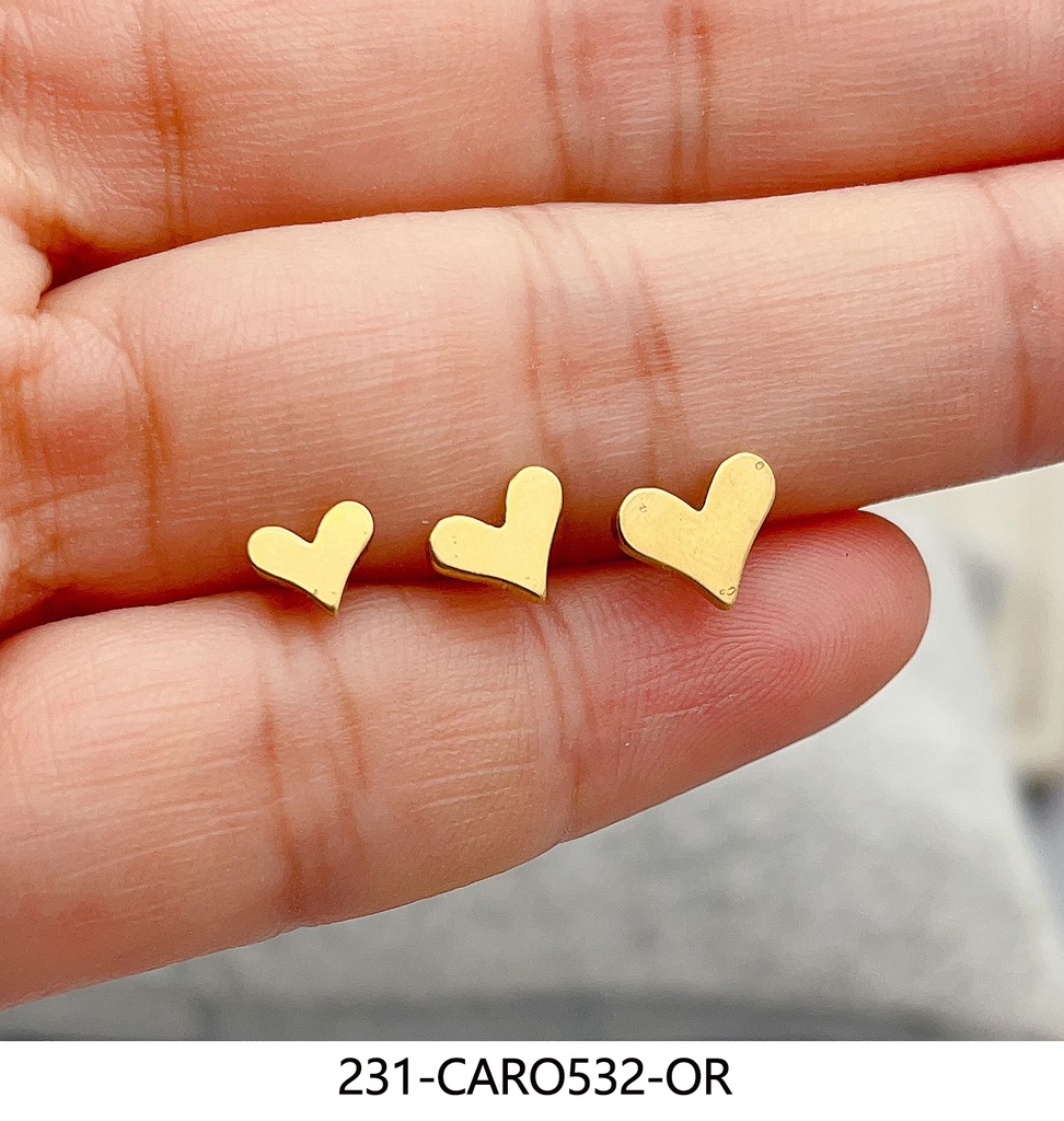 231-CARO532-OR