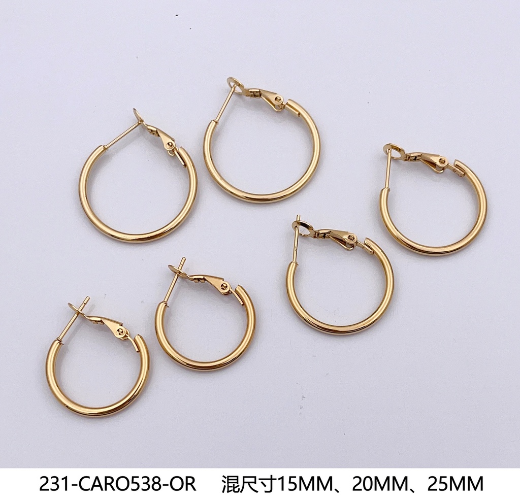 231-CARO538-OR