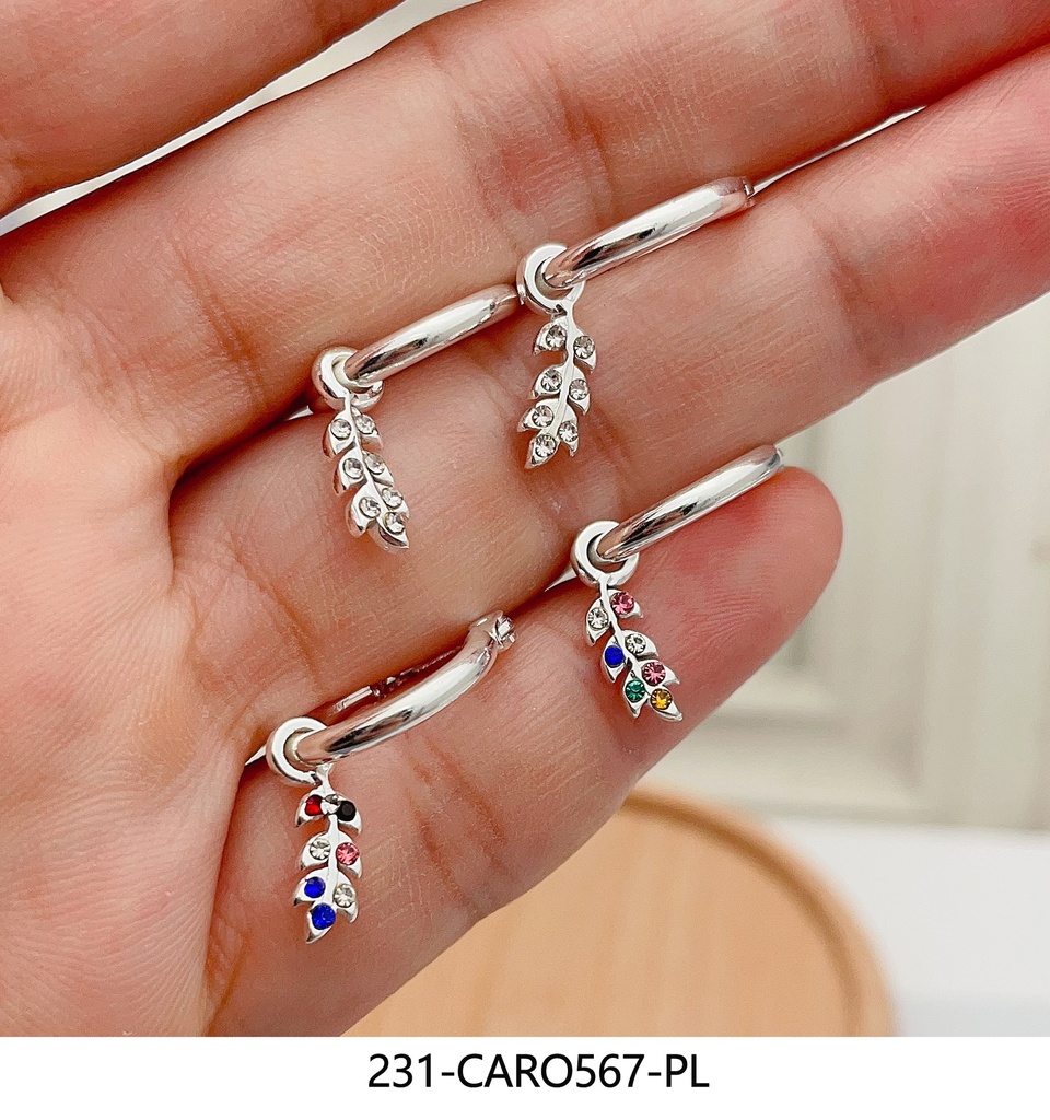 231-CARO567-PL