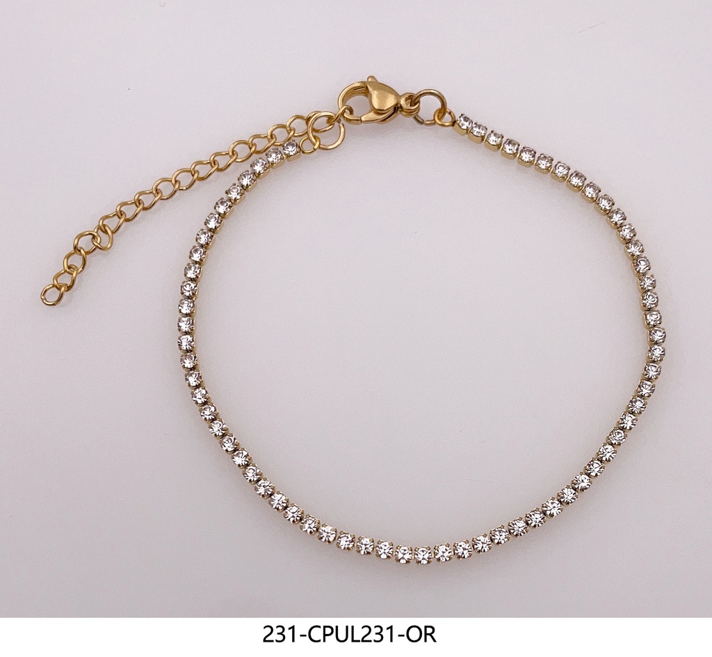 231-CPUL231-OR