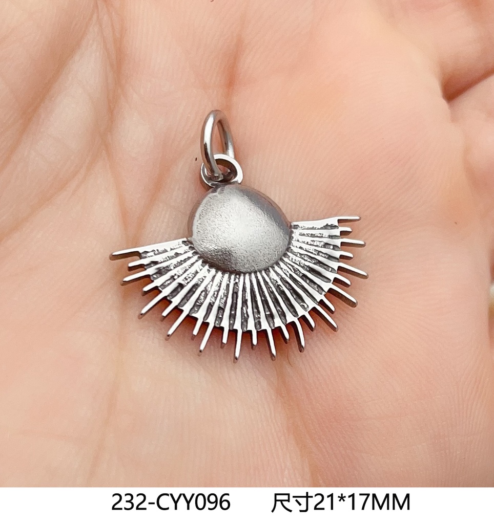 232-CYY096
