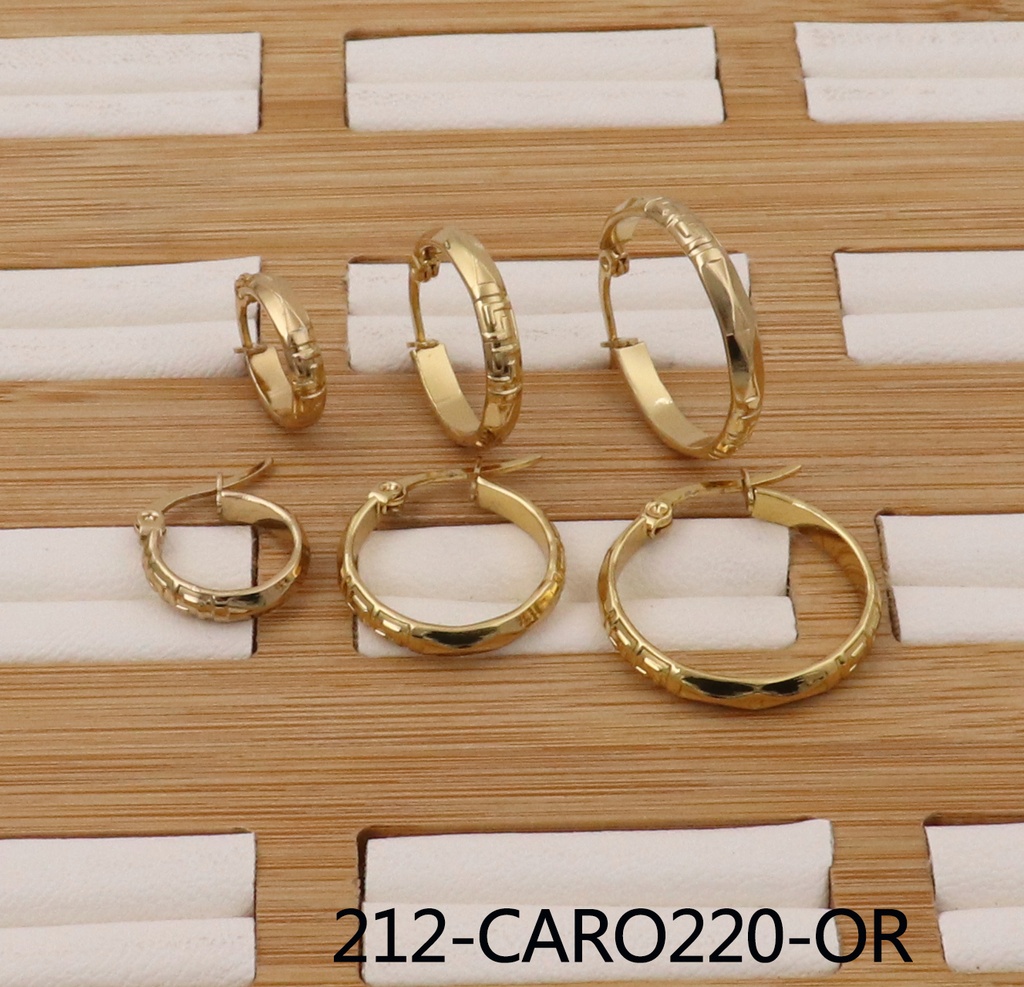 212-CARO220-OR