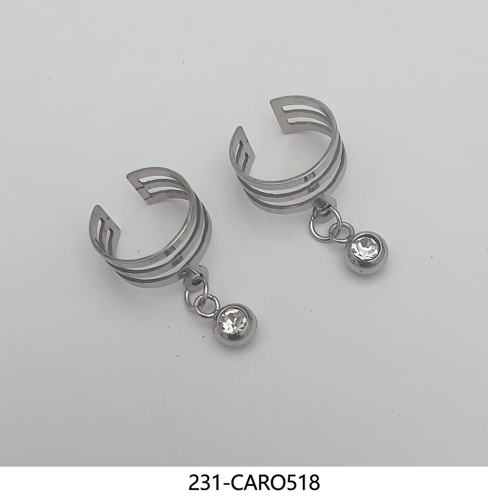 231-CARO518