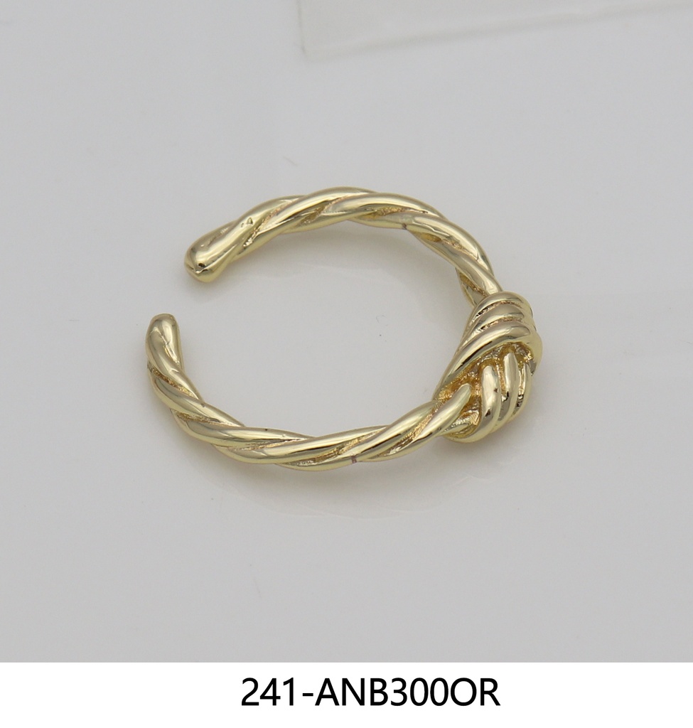 241-ANB300OR