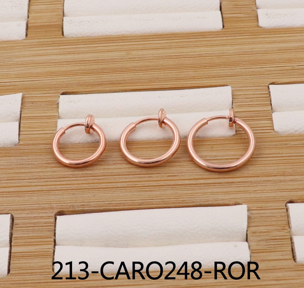213-CARO248-ROR