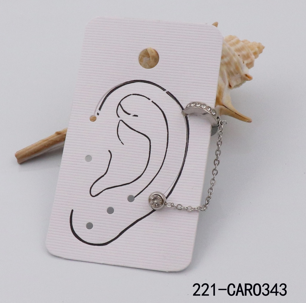 221-CARO343