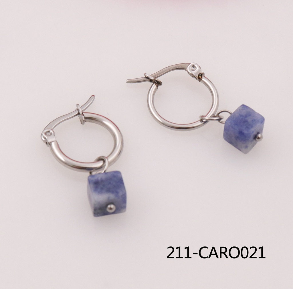 211-CARO021