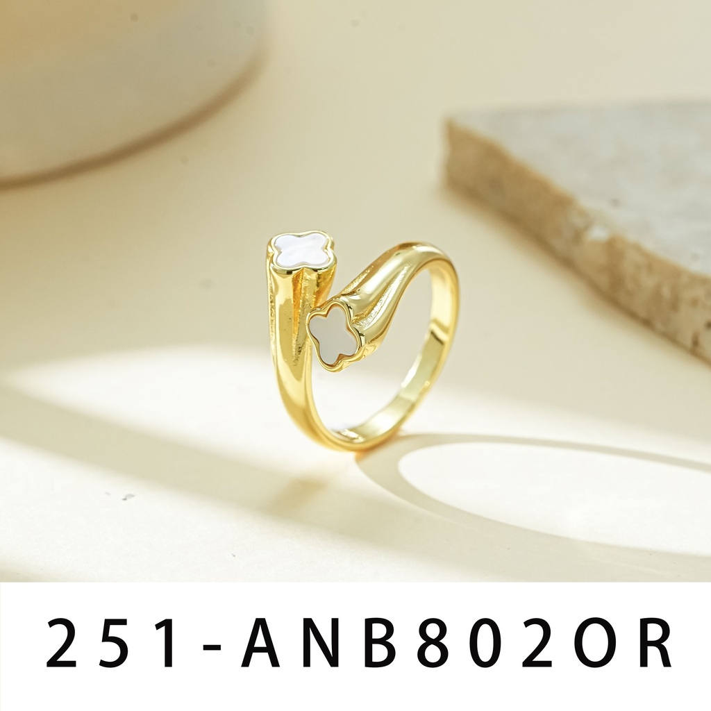 Anillo