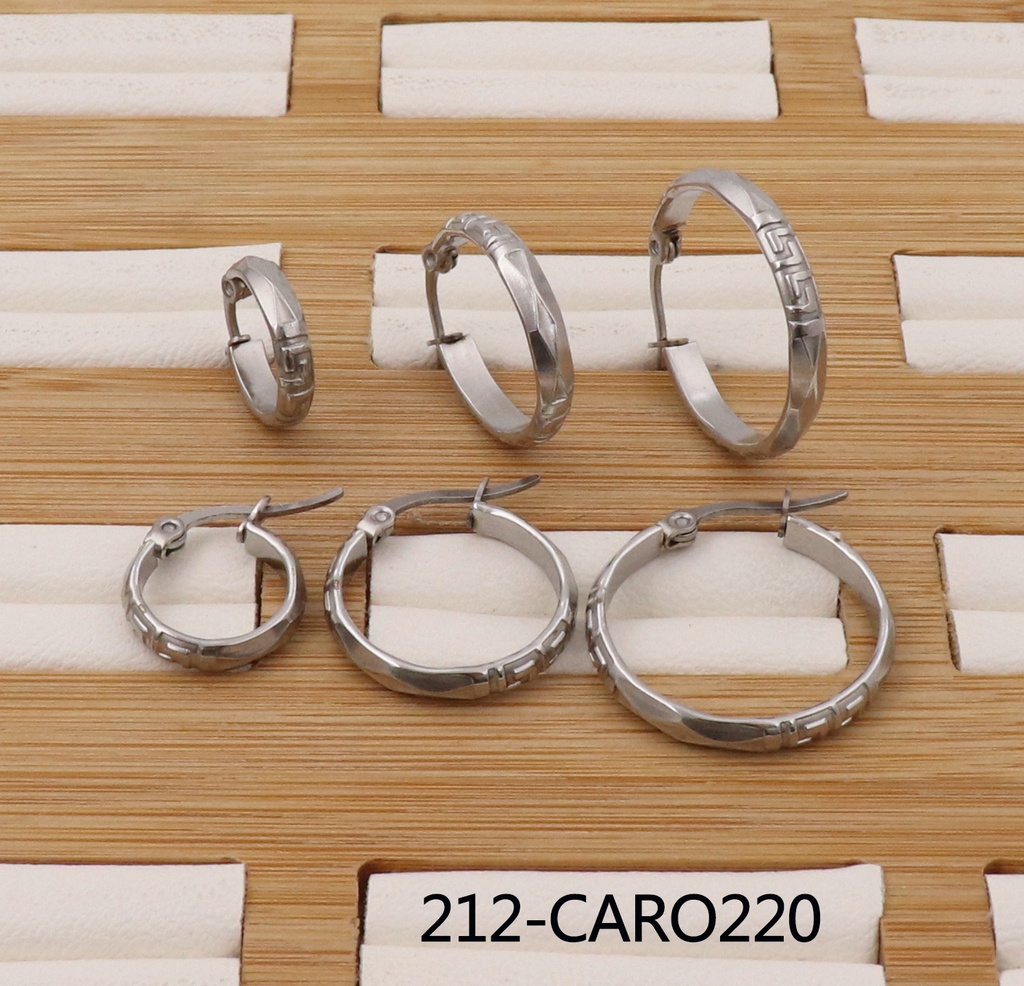 212-CARO220
