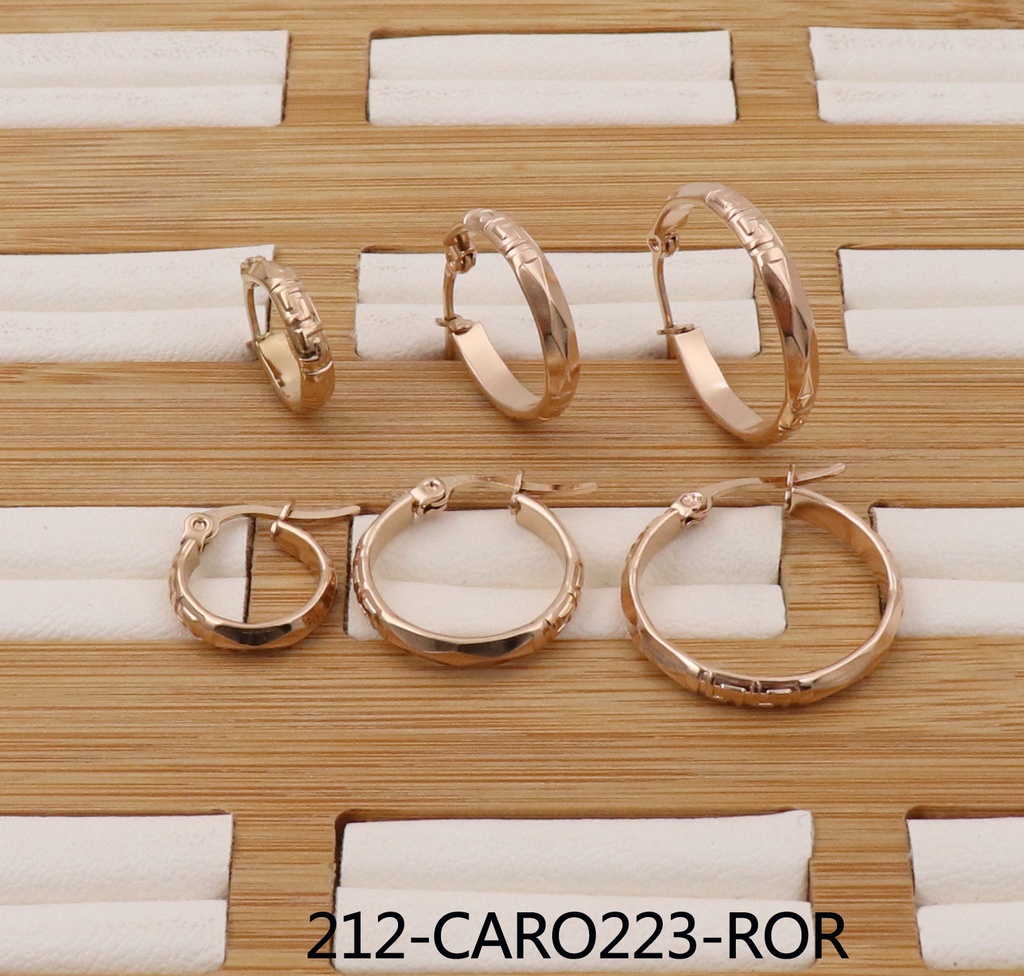 212-CARO223-ROR