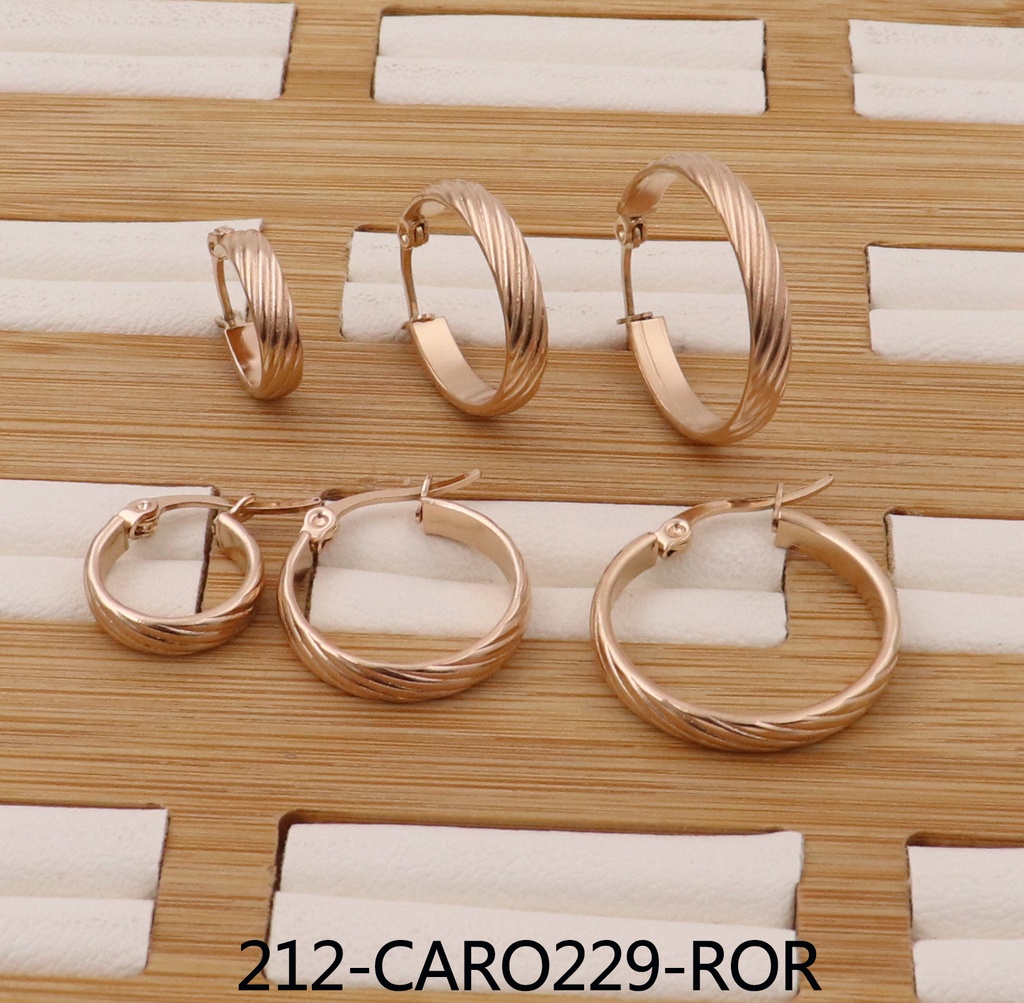 212-CARO229-ROR