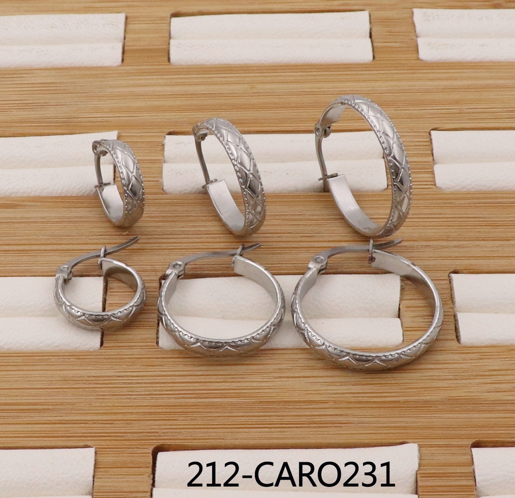 212-CARO231
