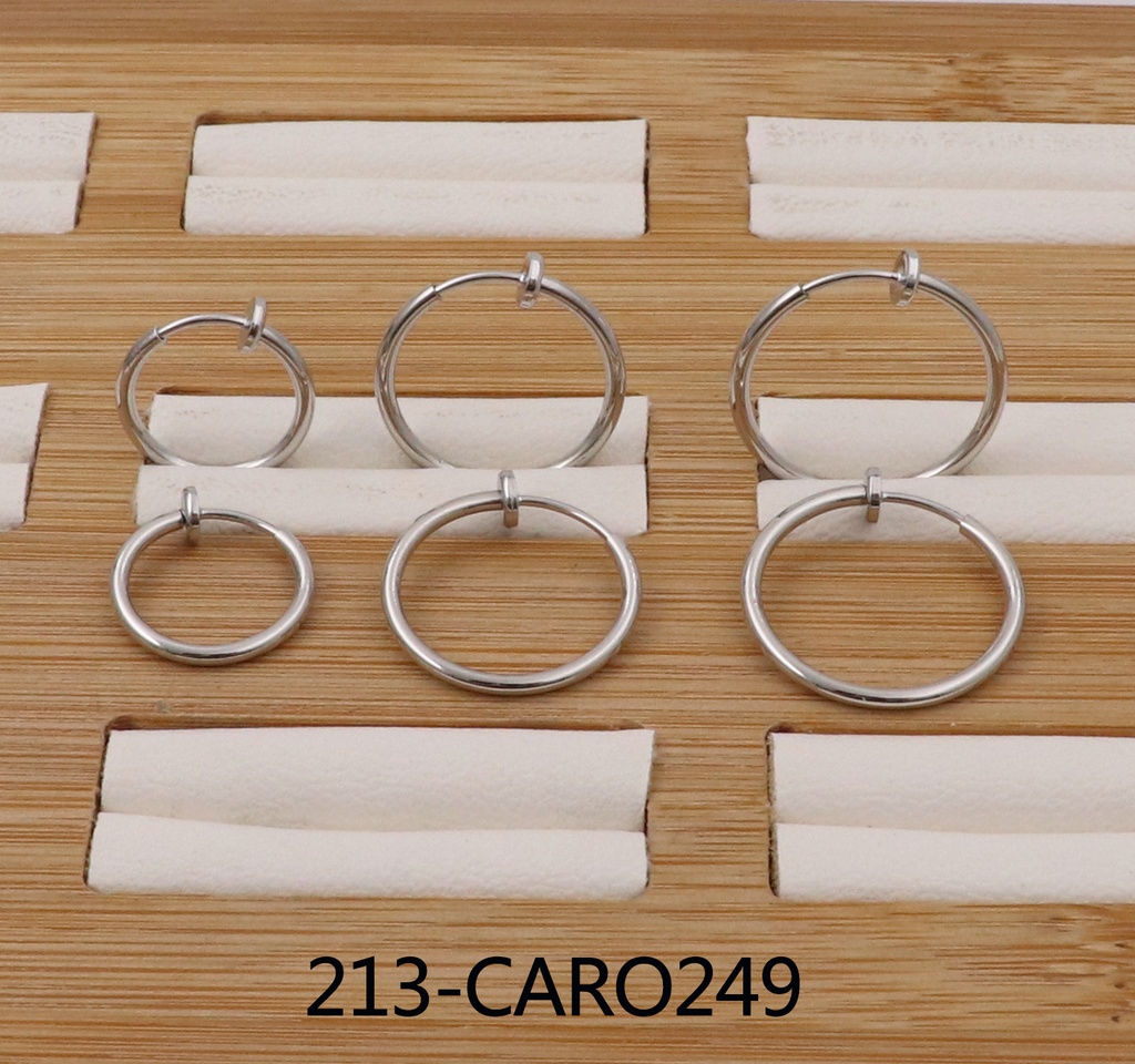 213-CARO249