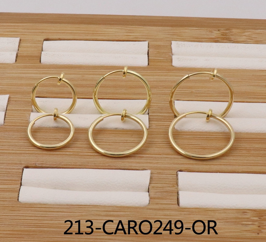 213-CARO249-OR