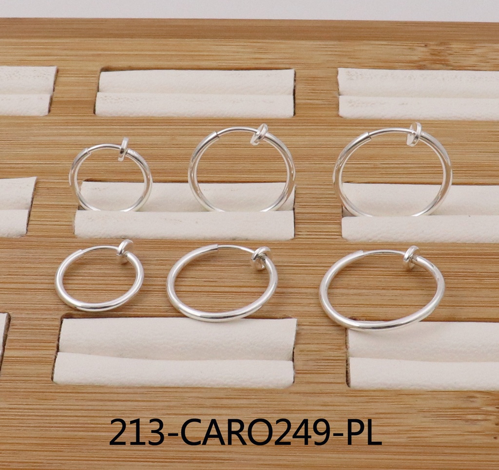 213-CARO249-PL