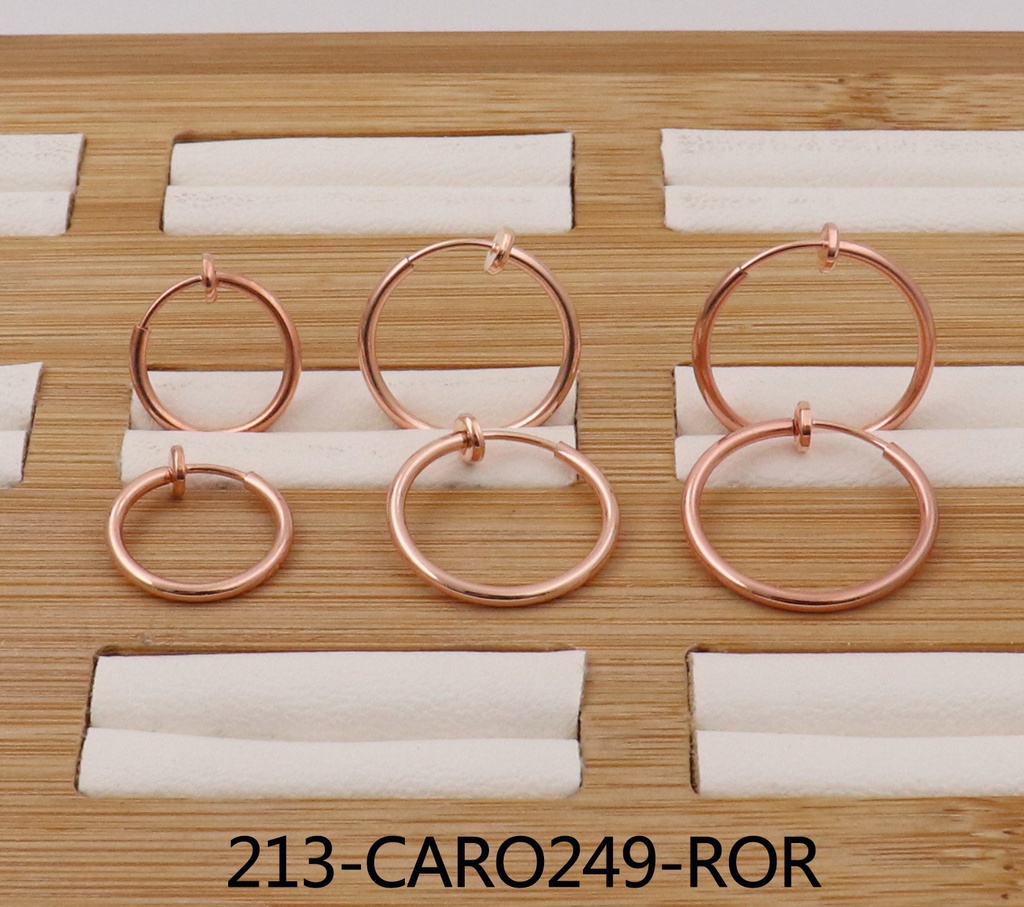 213-CARO249-ROR