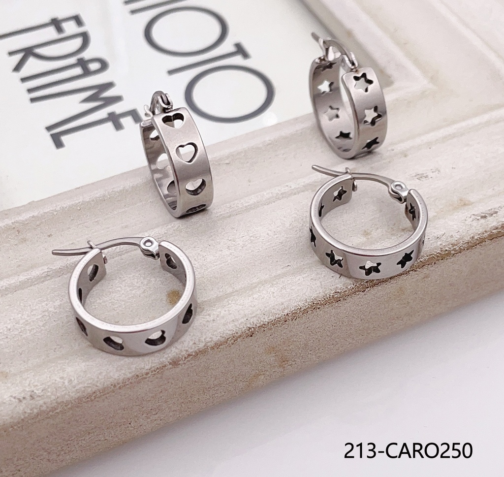 213-CARO250