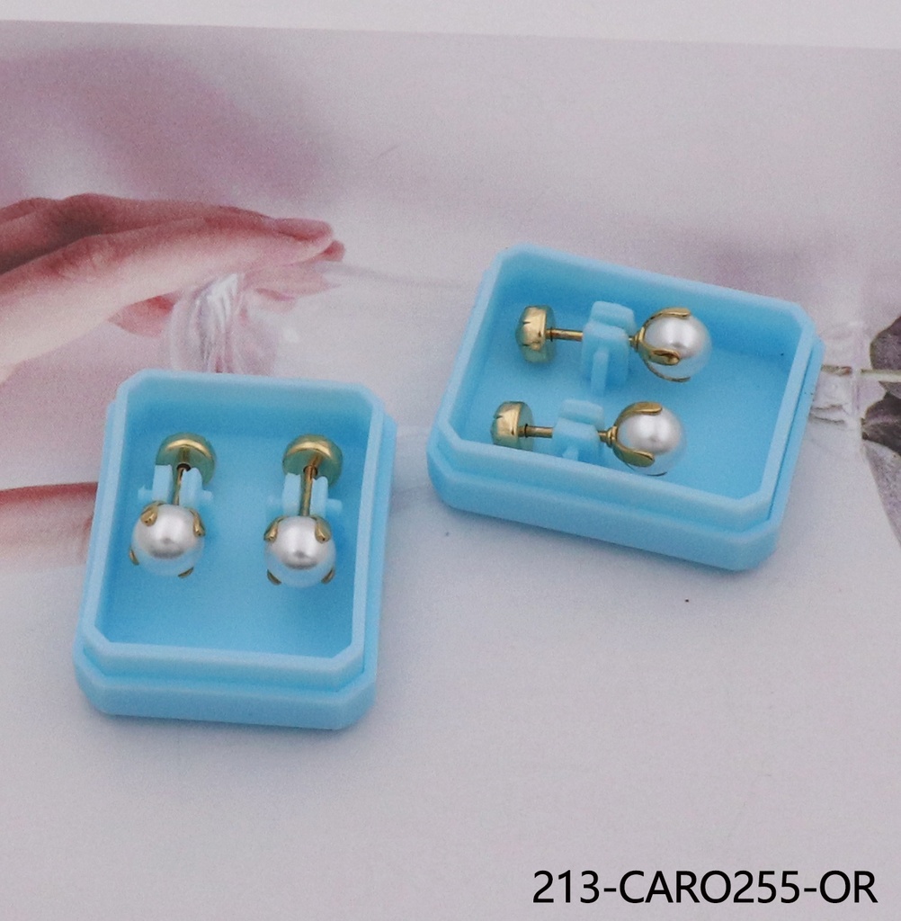 213-CARO255-OR