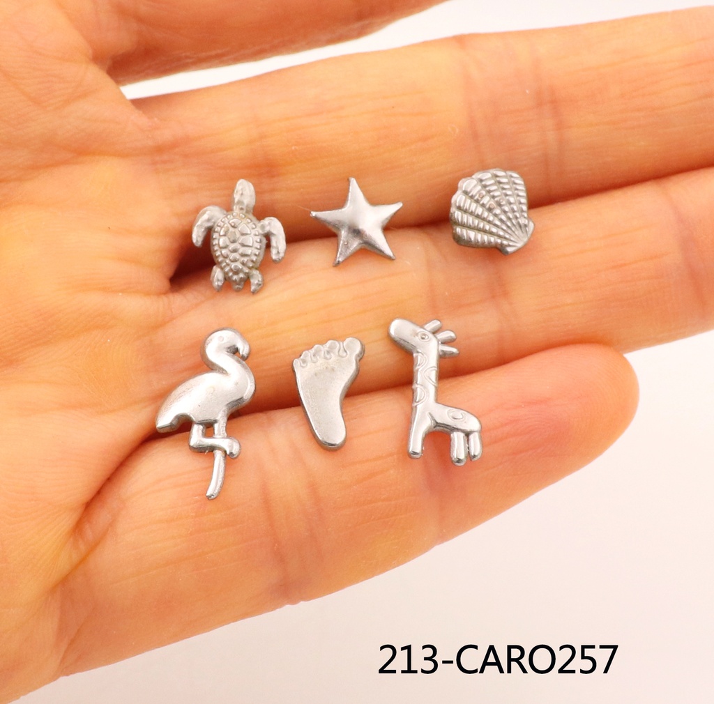 213-CARO257