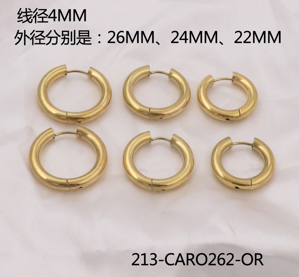 213-CARO262-OR