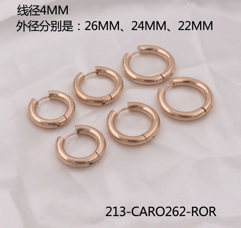 213-CARO262-ROR