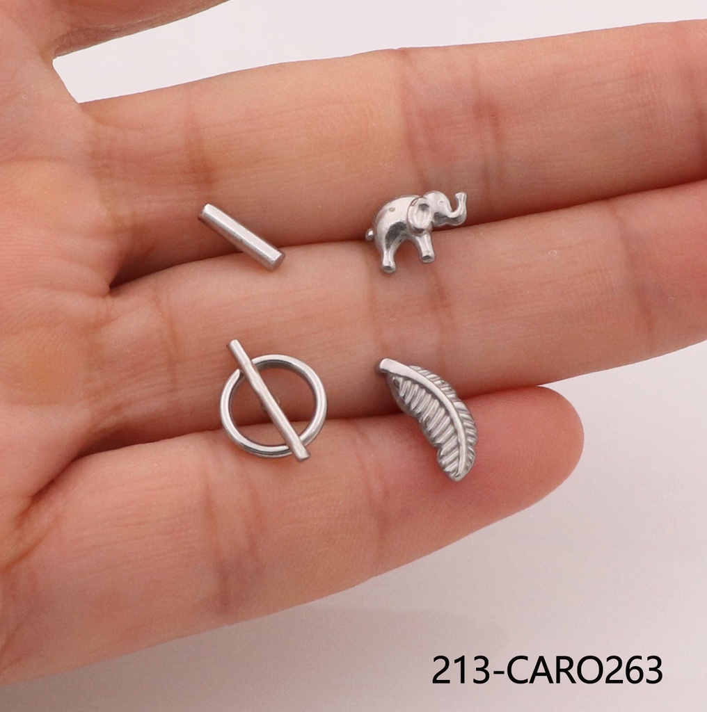 213-CARO263