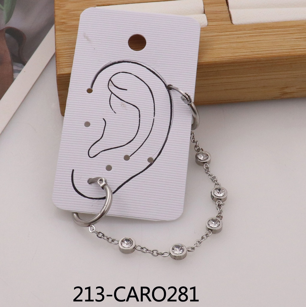213-CARO281
