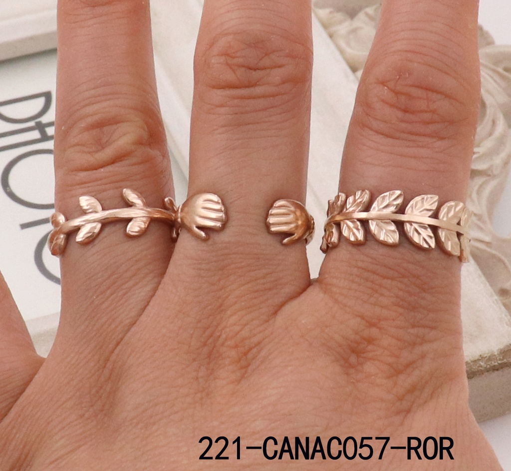 221-CANAC057-ROR