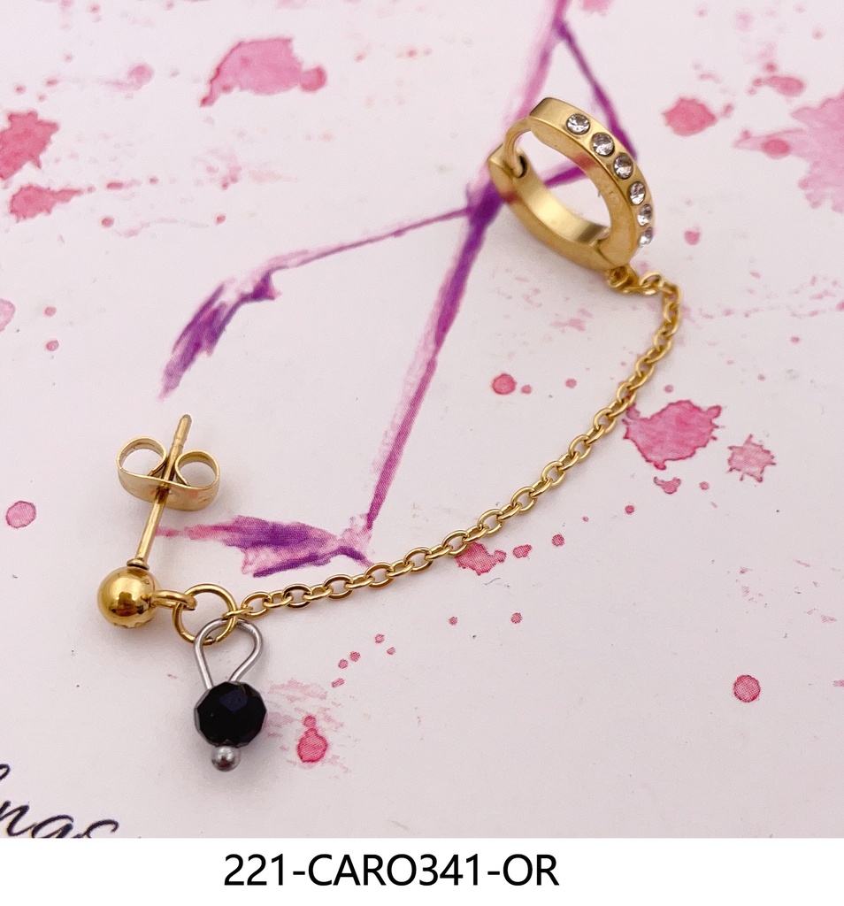 221-CARO331-OR