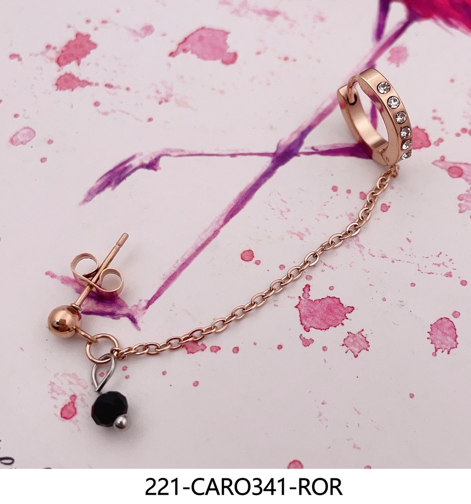 221-CARO331-ROR