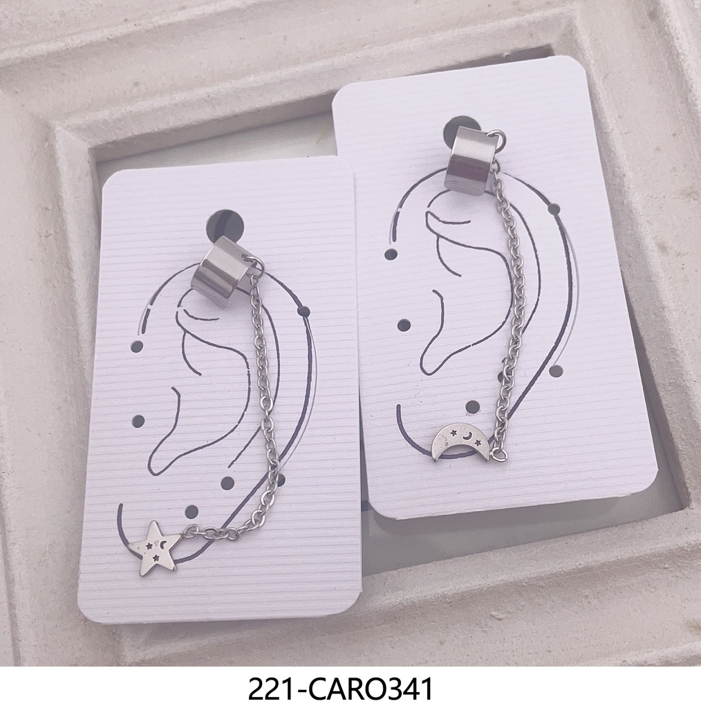 221-CARO341