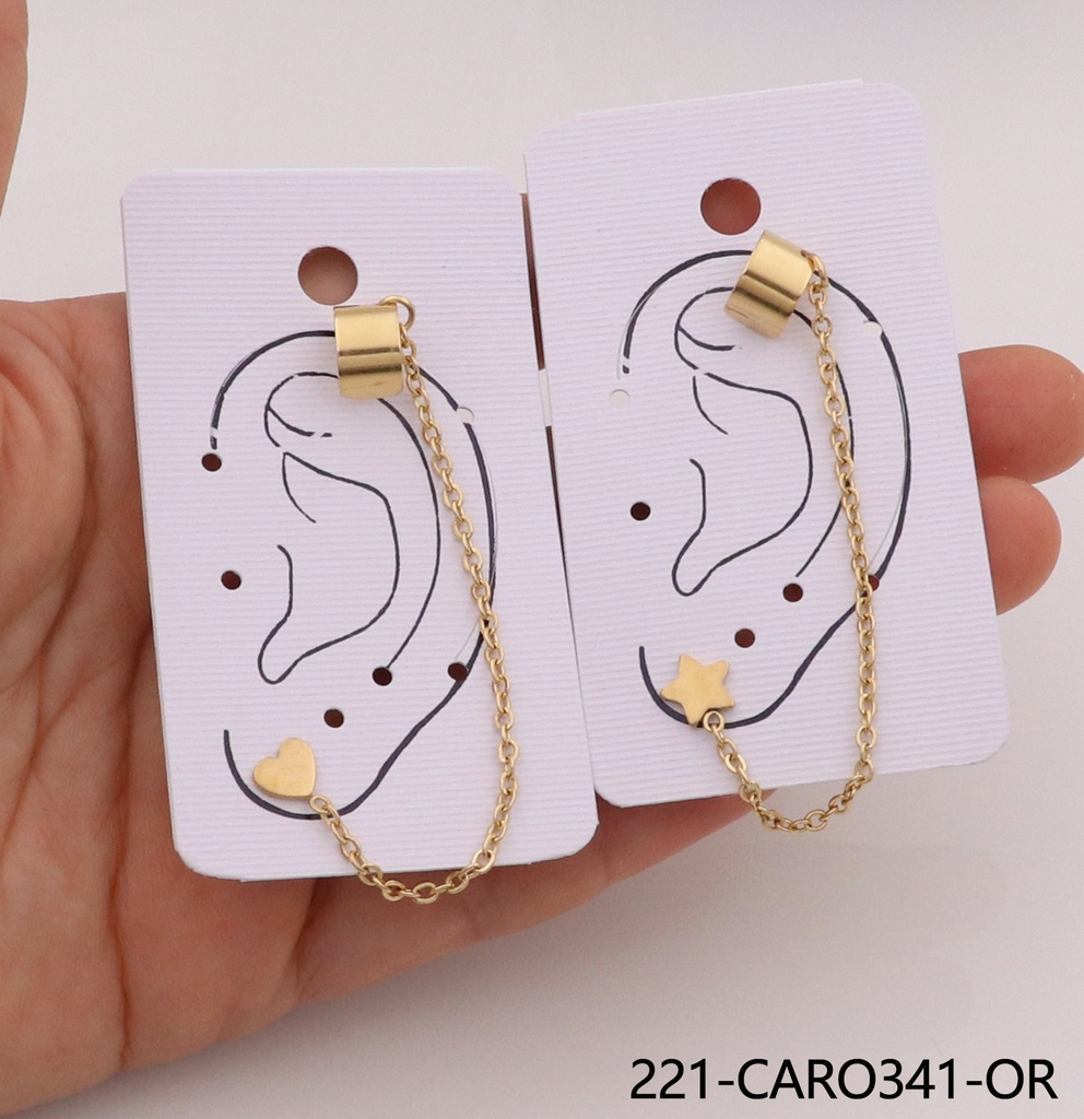 221-CARO341-OR