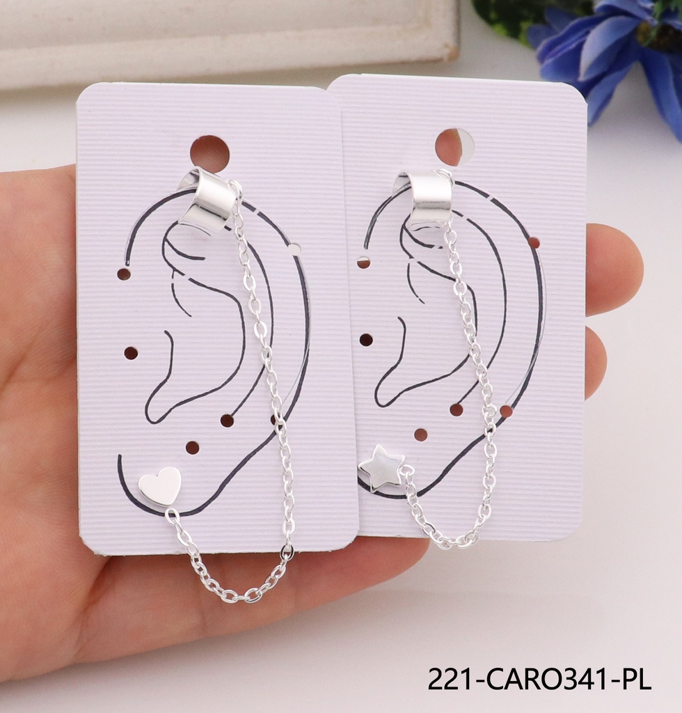 221-CARO341-PL