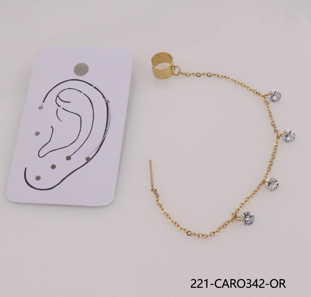 221-CARO342-OR