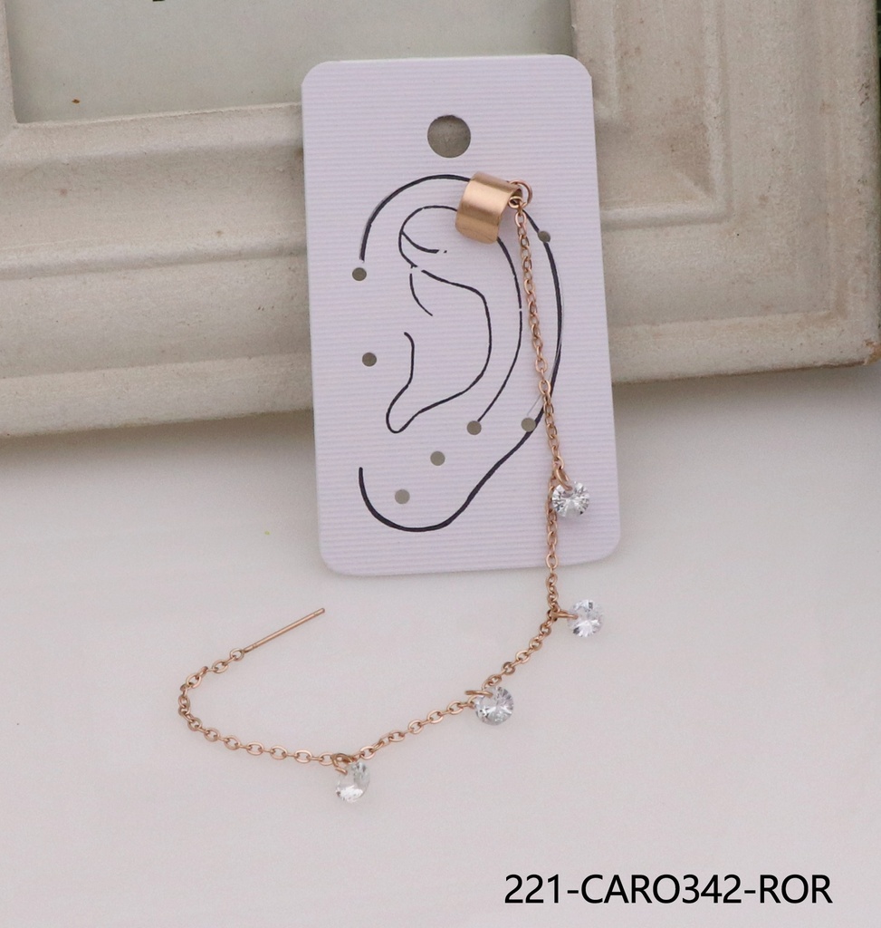 221-CARO342-ROR