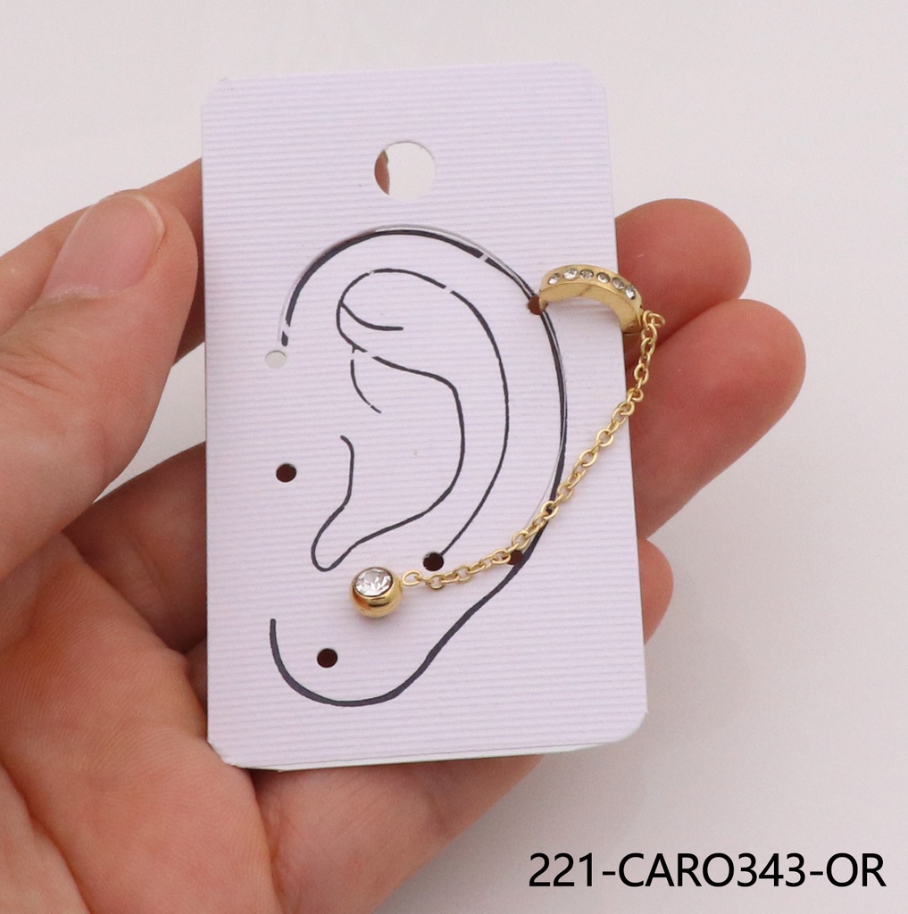 221-CARO343-OR