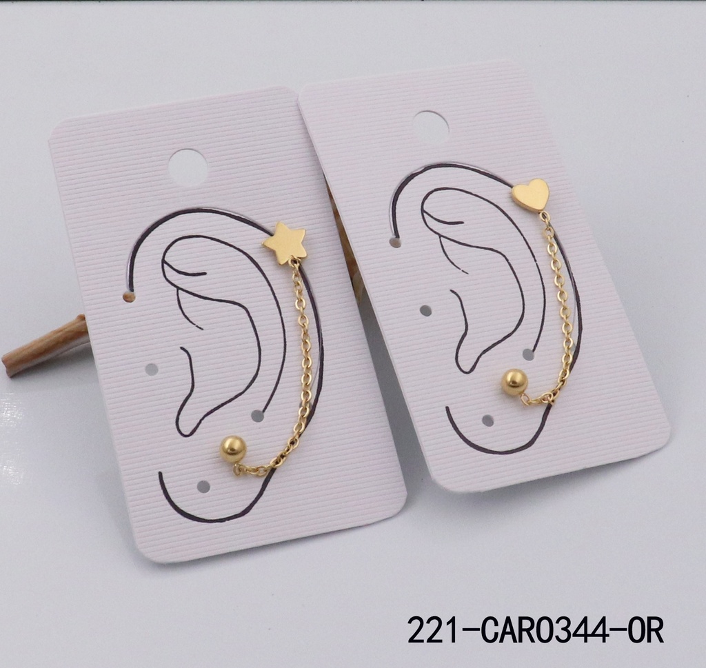 221-CARO344-OR
