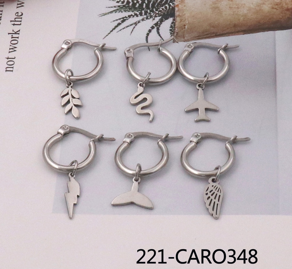 221-CARO348