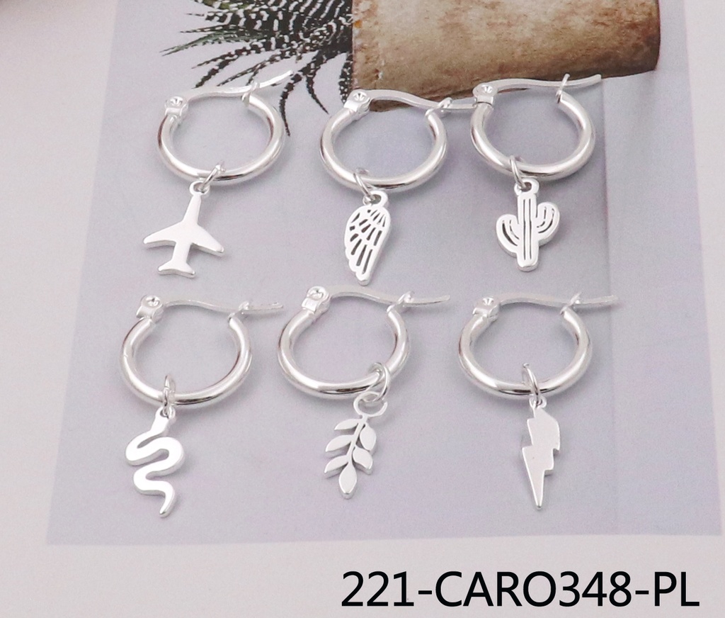 221-CARO348-PL