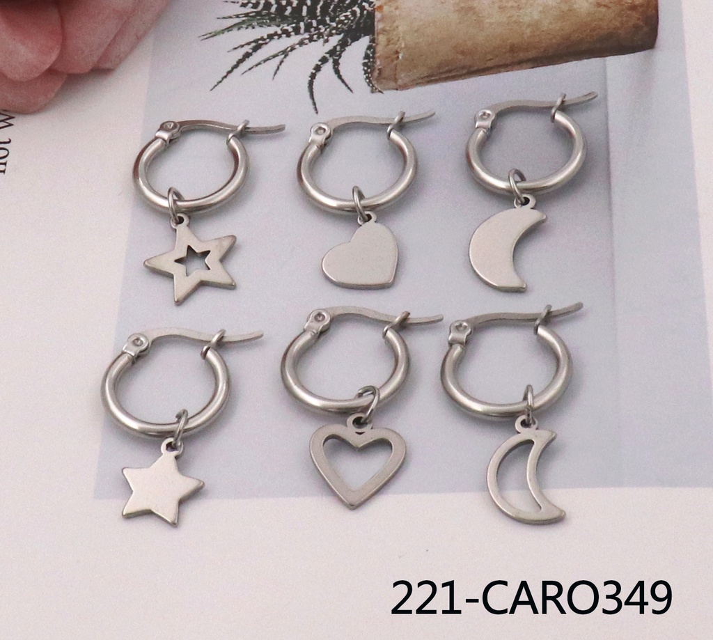 221-CARO349