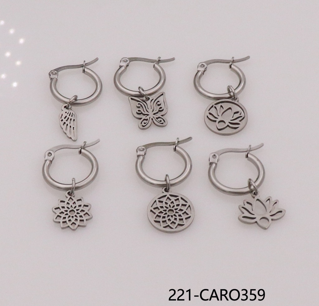 221-CARO359