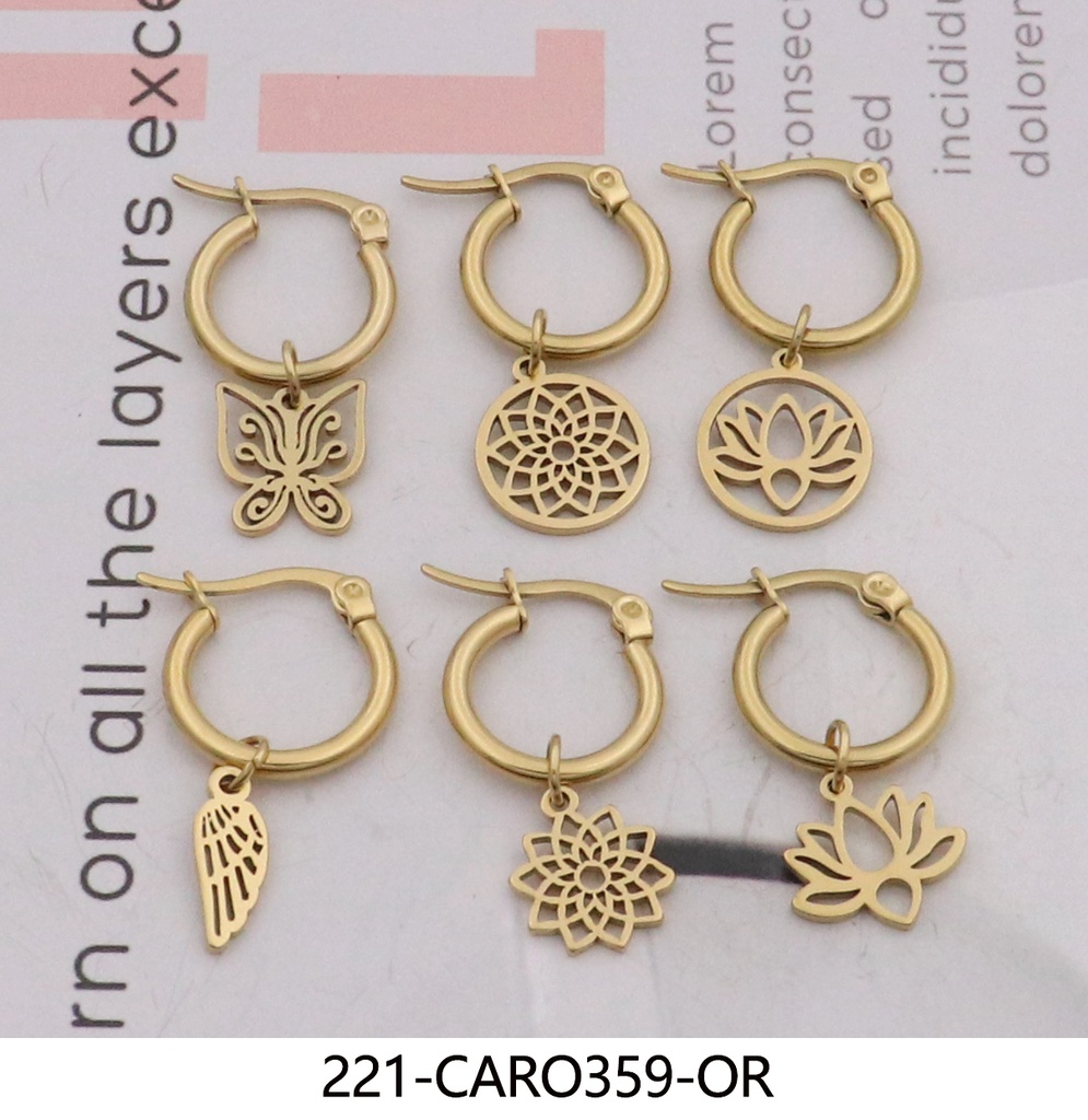 221-CARO359-OR