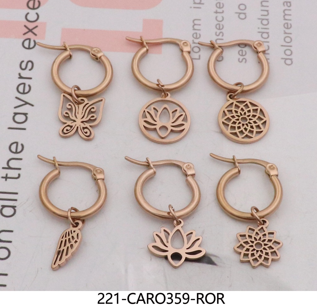 221-CARO359-ROR