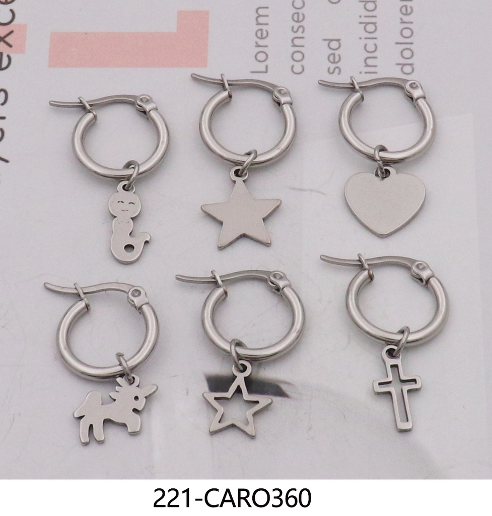 221-CARO360