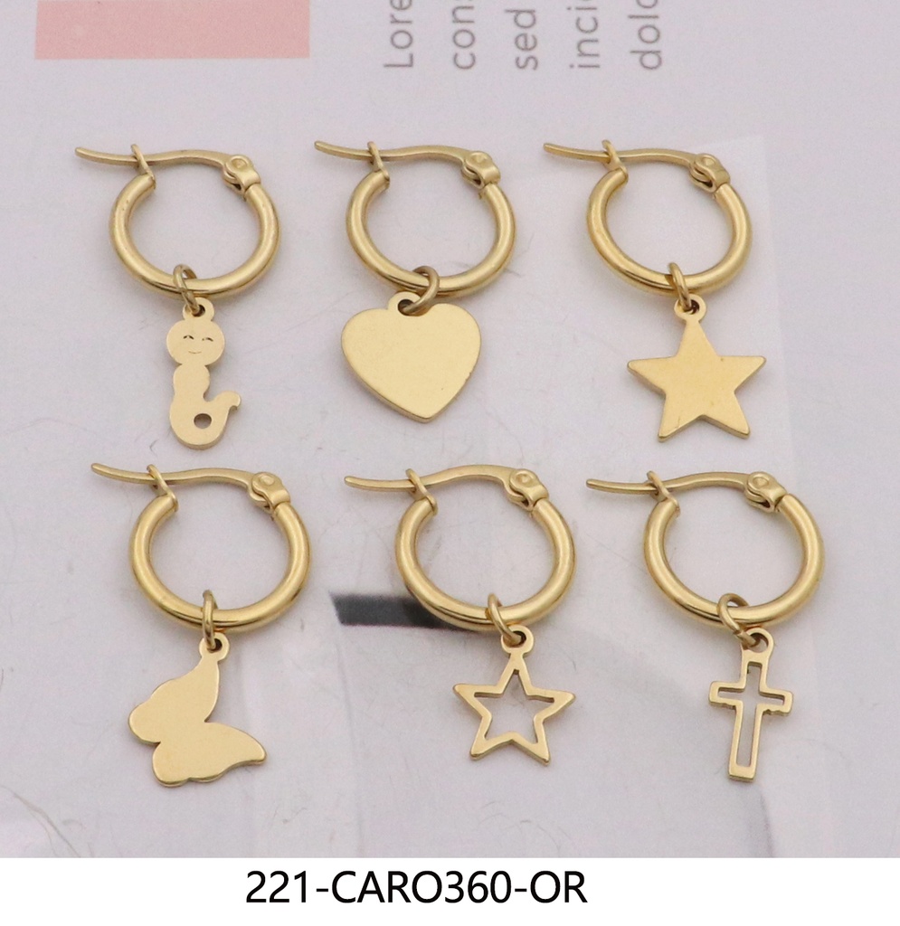 221-CARO360-OR