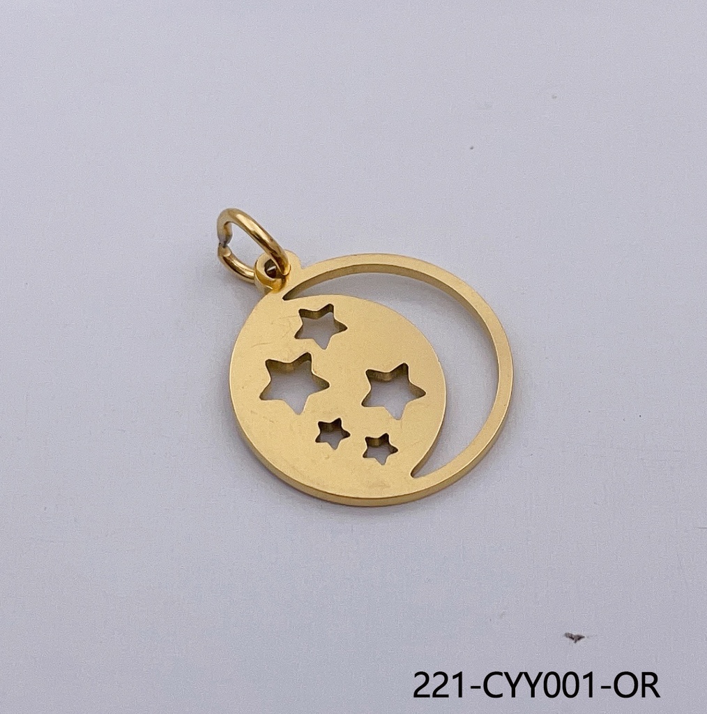 221-CYY001-OR