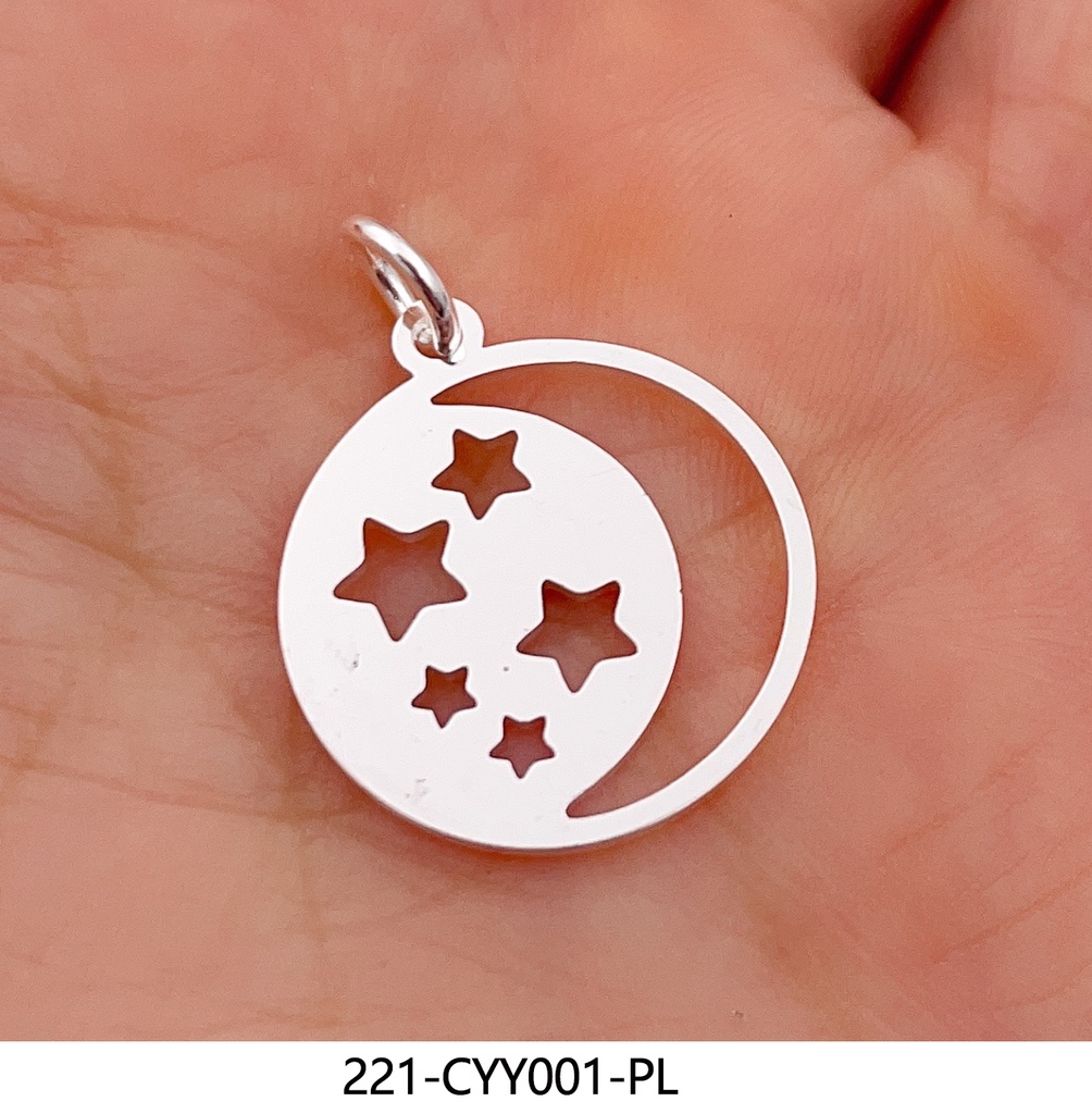221-CYY001-PL
