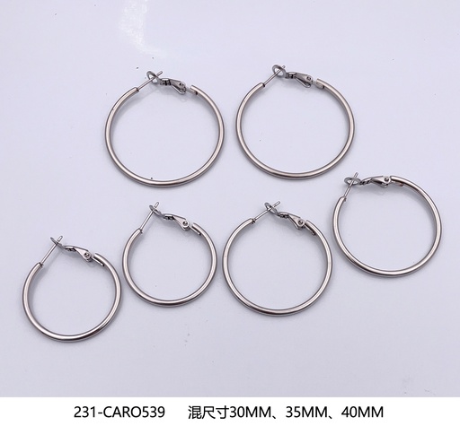 231-CARO539